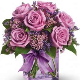 Rose Elegance - Purple Roses