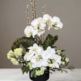 White orchid arrangement in a black pedestal vase with green accents