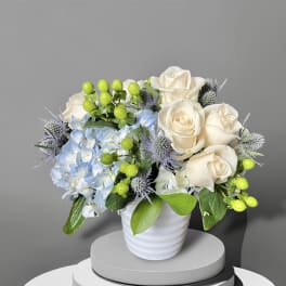 Cream roses and blue hydrangea in a white vase