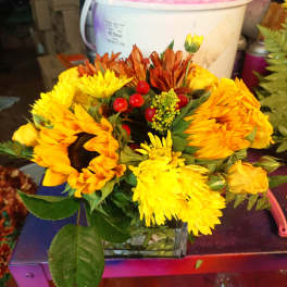 Sunny Sunflowers