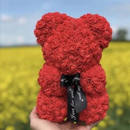 Red rose teddy bear with a black ribbon