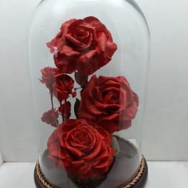 Three red roses under a glass dome on a dark base