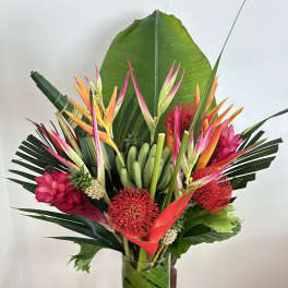 Tropical Splash