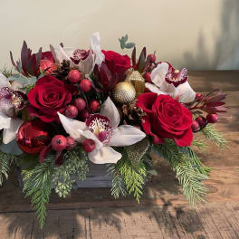 Holiday Blessings