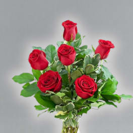 Half dozen red roses