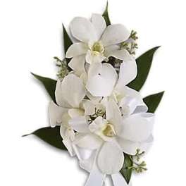 Graceful Orchids Corsage