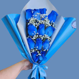 The Azure Elegance