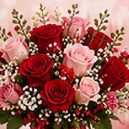Valentine's Rose Romance