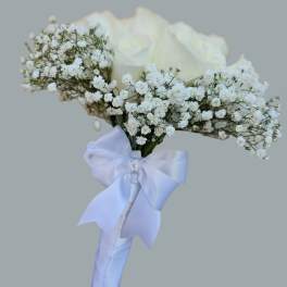 Novia Blanca
