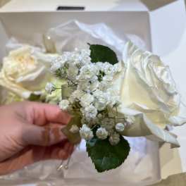 White rose boutonniere with baby's breath in a box