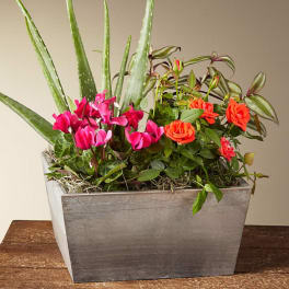 Fresh for Fall Garden