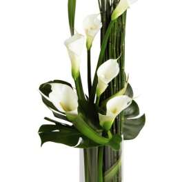 White calla lilies arranged in a tall glass vase with bamboo