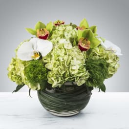 Smiles all Around