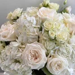 Bouquet of white roses and white hydrangeas