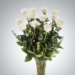 Dozen Long Stem White Roses by BloomNation™