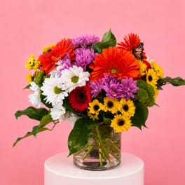 Colorful bouquet of daisies in a clear glass vase