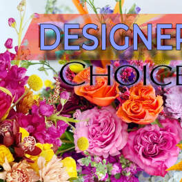 Summer Designers Choice