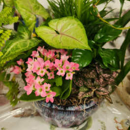 Pink flowers in a decorative planter with assorted green foliage