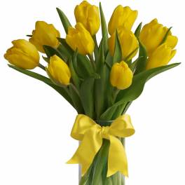 Sunny Yellow Tulips