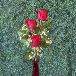 Three red roses in a tall red vase with small white filler flowers