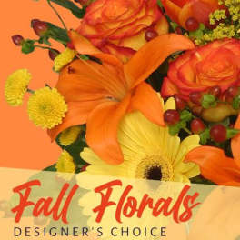 Fall Season Designer's Choice