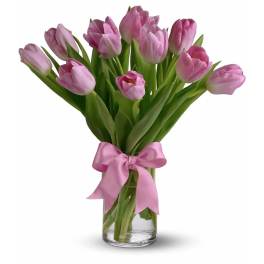 Precious Pink Tulips