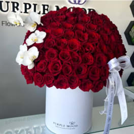 100 Red Roses with orchid in a Box