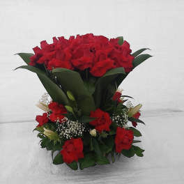 Bouquet of red roses with white filler flowers