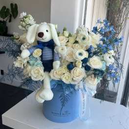 Newborn Boy Box