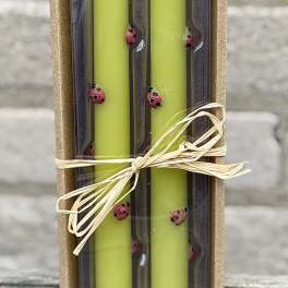 Bee candle