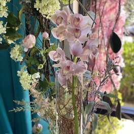 Pink orchids arranged in a tall glass vase with decorative branches