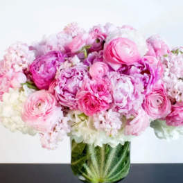 Peony Paradise (BB)