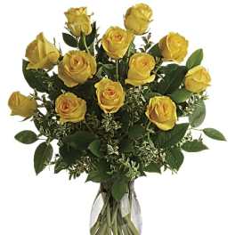 Yellow Roses (BB)