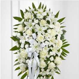 Exquisite Tribute (BB)