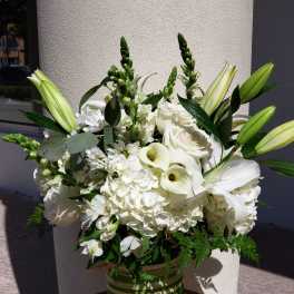 White Elegance (BB)