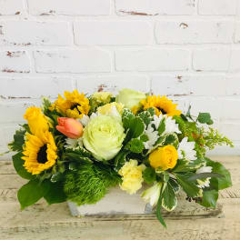 Low centerpiece of sunflowers, yellow roses, white daisies and green accents in a white wooden box.