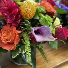 Designer's Choice Tropical Twist
