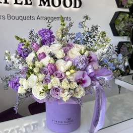 Dreamy Garden Box