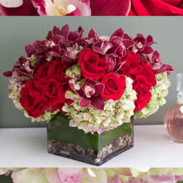 Powerful Red (BB)