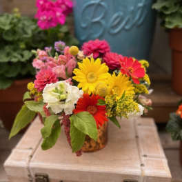 Happy Gerbera