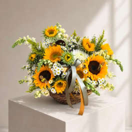 Basket arrangement of sunflowers and small white flowers with ribbon
