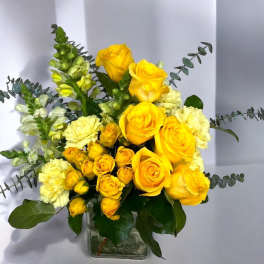 Yellow Harmony