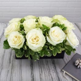 White roses arranged in a low rectangular container with green foliage