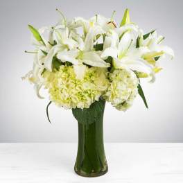 Sincere Thoughts (BB)