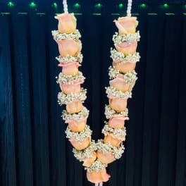 Two hanging garlands of peach roses and baby's breath