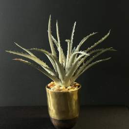 Faux Aloe Planter