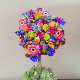 Topiary Jade