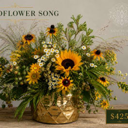 Sunflower and daisy arrangement in a gold vase