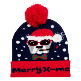 Knitted winter hat with a pom-pom and a skull wearing sunglasses