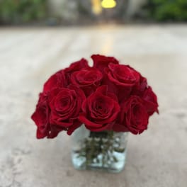 Red roses arranged in a small square glass vase